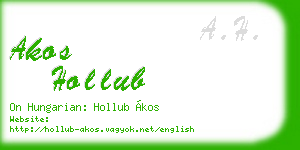 akos hollub business card